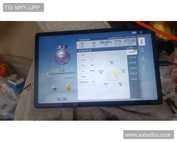 电竞新闻和平精英焦点BLG团队耐力分析与竞技表现探讨